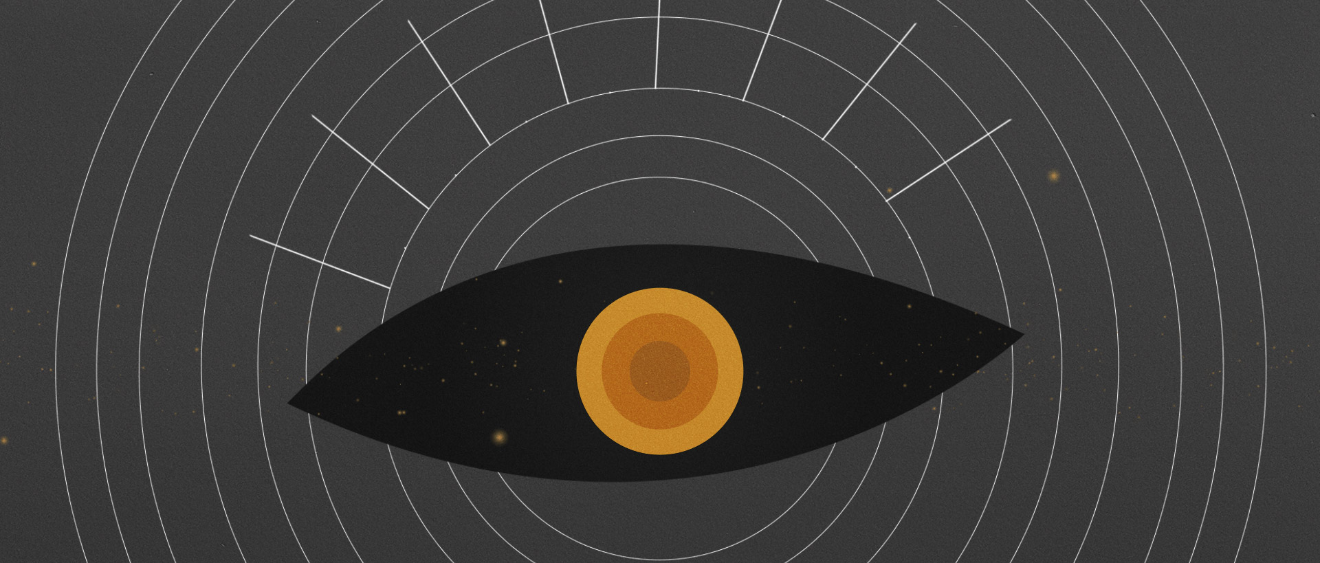 Animation and Illustration Project
