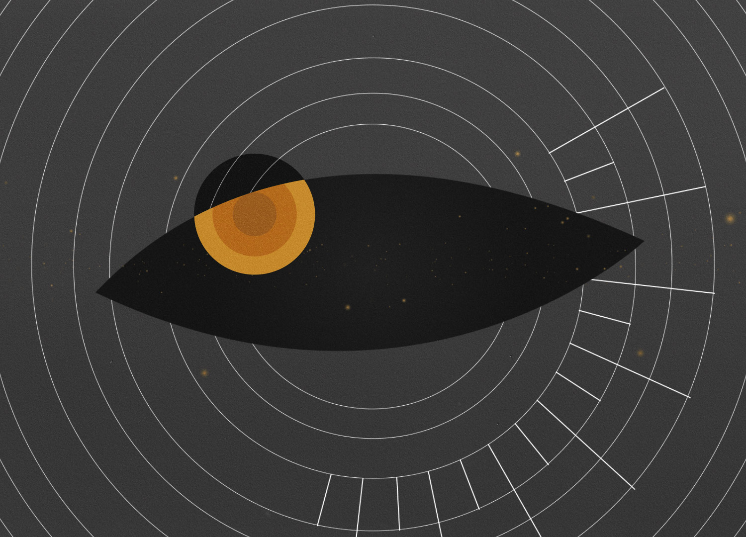 Animation and Illustration Project