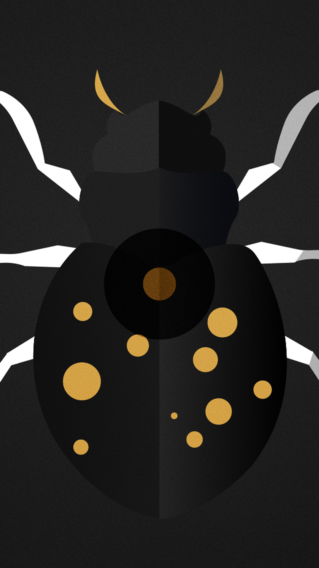 Animation and Illustration Project
