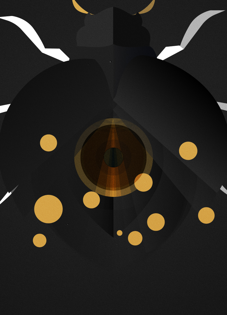 Animation and Illustration Project